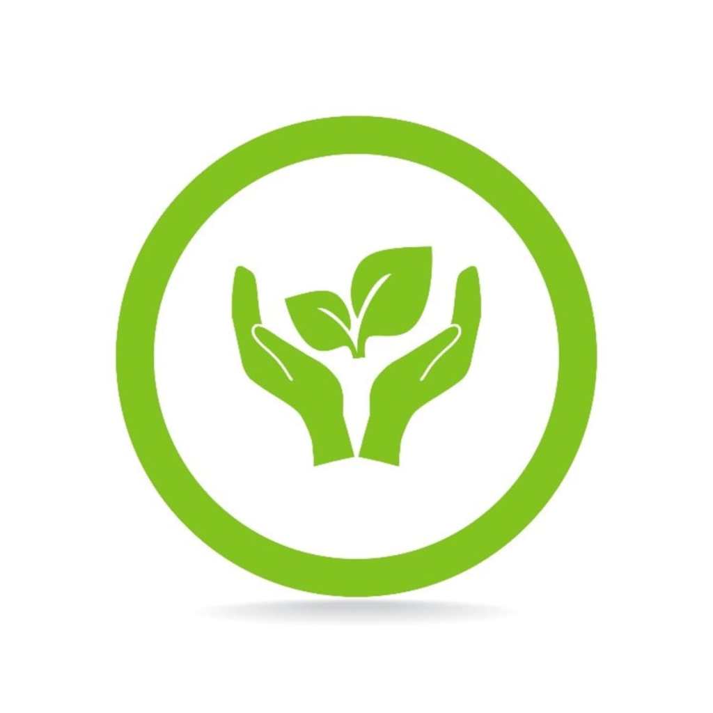 How To Be Environmentally Friendly In Real